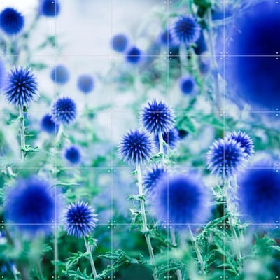 IXXI Dream Flowers Blue, Mareike Böhmer - 100 x 100 cm - Gratis ophangtool - Grote wanddecoratie en posters - Fotografie, Abstract, Kleurrijk