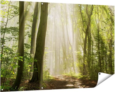 Gards Tuinposter Bos met Bomen en Zonneschijn - 150x100 cm - Tuindoek - Tuindecoratie - Wanddecoratie buiten - Tuinschilderij