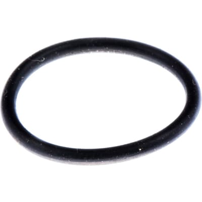 O-ring