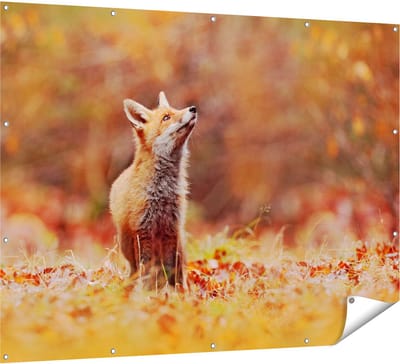 Gards Tuinposter Vos in het Bos tussen de Bladeren - 160x120 cm - Tuindoek - Tuindecoratie - Wanddecoratie buiten - Tuinschilderij