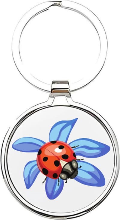 Akyol - lieveheersbeestje Sleutelhanger - Lieveheersbeestje - dierenliefhebbers - insecten - kever - keverbeestje - dieren - bloemen - bloemen sleutelhangers - geluksbrenger - cadeau voor dierenliefhebbers - insect - kapoentje - 4 x 7,5 CM