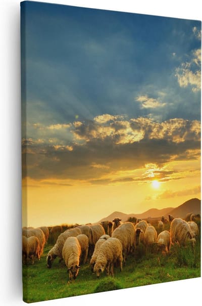 Artaza Canvas Schilderij Kudde Schapen - 40x50 cm - Wanddecoratie Dieren - Muurdecoratie Weiland - Schilderijen Op Canvas
