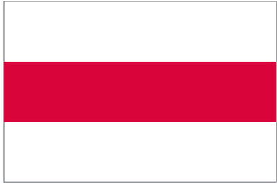 Vlag Enschede 30x45cm - Voormalig