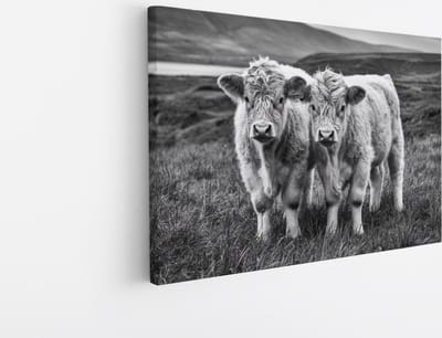Saammp Canvas Schilderij - 2 Schotse Hooglander Koeien in Schotland - Natuur - Dieren - 45x30 - Foto op canvas - Wanddecoratie - Muurdecoratie Woonkamer - Slaapkamer decoratie - Canvas Print