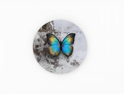 Rond Schilderij Vlinder - Dieren - Wanddecoratie - Woonkamer - Slaapkamer -Muurcirkel -40 cm