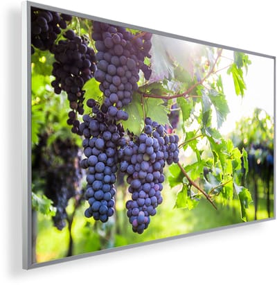 Infrarood Verwarmingspaneel 450W met fotomotief en Smart Thermostaat (5 jaar Garantie) - Selectie van Druiven 172