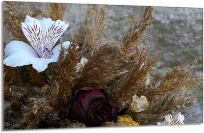 TMK ArtDeko Orchidea - Beschermplaat - Glas - 80x52 cm - Orchideeënmotief