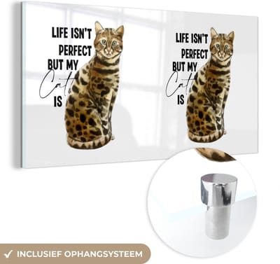 MuchoWow® Glasschilderij 120x60 cm - Schilderij acrylglas - Katten - Life isn't perfect but my cat is - Spreuken - Quotes - Foto op glas - Schilderijen