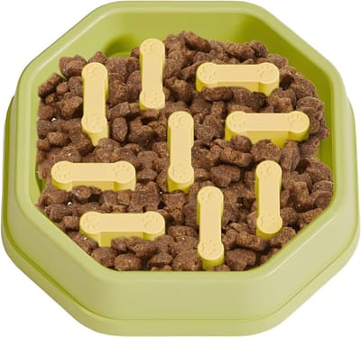 Voerbak Hond - Anti-verstikbak - Langzaam Eten - Verbeterde Maaltijdstabiliteit - 21 x 21 x 5 cm - Groen