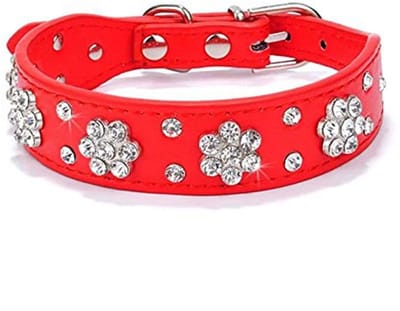 Dailygoods- Halsband Schattige Bloem Strass - Verstelbare Maten - Kunstleer - Hondenhalsband - Bling Diamanten Gesp - 5 Oogjes Verstelbaar - Hondenkraag