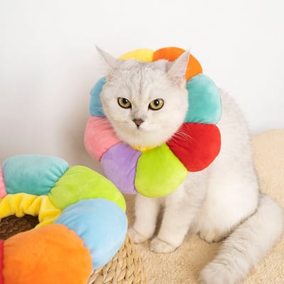 Kleurrijke bloemen herstelhalsband voor katten en kleine honden - Verstelbare halsband - Voor kleine dieren na een operatie - Maat XS - Kleurrijk