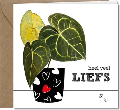 Tallies Cards wenskaarten - Liefs Sterkte - collectie PLANT - 4 kaarten met envelop - duurzaam