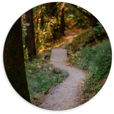 Dibond Wandcirkel - Pad in Bos met Bruggetje - 70x70cm Foto op Aluminium Wandcirkel (met ophangsysteem)