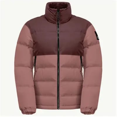 Jack Wolfskin Alex Down Jkt W 1206921-3068, Vrouwen, Bruin, Jasje, maat: S