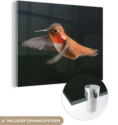 MuchoWow® Glasschilderij 120x90 cm - Schilderij acrylglas - Kolibrie - Vogel - Veren - Zwart - Foto op glas - Schilderijen