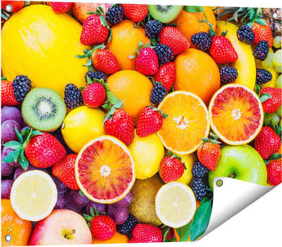 Gards Tuinposter Kleurrijke Fruit Achtergrond - 80x60 cm - Tuindoek - Tuindecoratie - Wanddecoratie buiten - Tuinschilderij