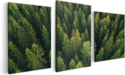 Artaza Canvas Schilderij Drieluik Bos Met Bomen Vanaf Boven - 120x60 - Foto Op Canvas - Canvas Print