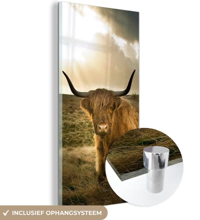 MuchoWow® Glasschilderij - Schotse Hooglander - Zon - Duin - Natuur - Dieren - 20x40 cm - Acrylglas Schilderijen - Foto op Glas - Muurdecoratie