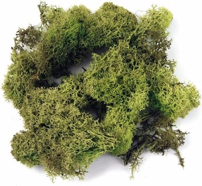 Rayher Decoratie mos - lichtgroen - 100 gram - Knutselen/bloemisterij materialen voor o.a. kerststukjes maken