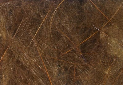 Vliegenbindveren - Natuurlijke veren - Vliegvismateriaal - Handmatig geselecteerd - 1 gram - Bruin