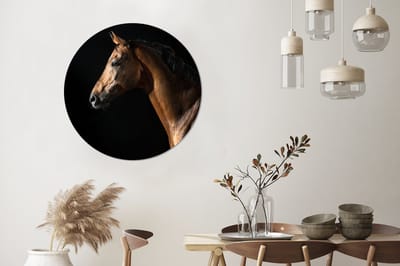 Wandcirkel paard - Schilderij voor kinderen - Paard - Dieren - Nacht - Zwart - 90x90 cm - Decoratie voor kinderkamers - Kunststof