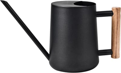 Gieter Roestvrij Staal - Waterkan Planten - Kamerplanten Water Geven - Lange Tuit - 900 ml - Zwart