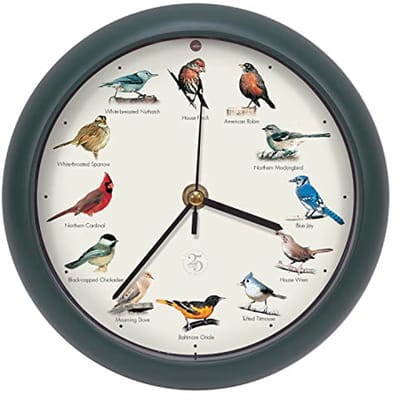 Zangvogels Klok met Geluiden - 25e Jubileum Editie (20 cm, Groen)