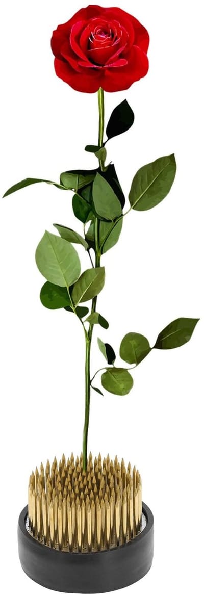Dailygoods- Bloemenkikker - Koperen Kikker - 46 mm - Bloemenstandaard - Tafelopzetstukken - Knutselwerk - Hoogwaardige Materialen - Bloemschikking