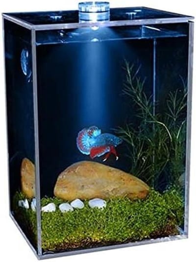 Kleine Vissenkom - Aqua Tank - Vissen Houden - Super Transparant - Middel Formaat - Wit Verlicht
