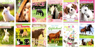 12 Schattige Dieren Felicitatie wenskaarten - gevouwen kaart met envelop - 16x11cm