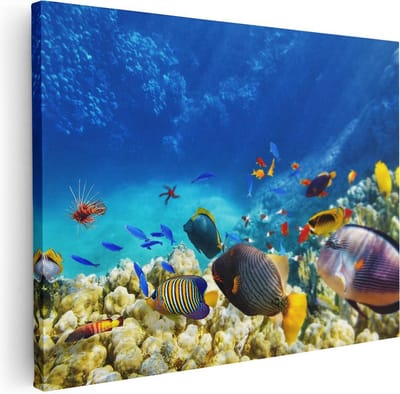 Artaza Canvas Schilderij Koraalrif - 40x30 cm - Klein - Wanddecoratie Tropische Vissen - Muurdecoratie Zee - Kamer Accessoires Onderwater