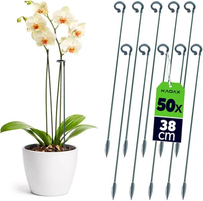 KADAX bloemensteunen 38 cm, set van 50, orchideeënstokken voor het stabiliseren van stengels en bloemen, plantenstokken van glasvezel en kunststof, klimsteun voor orchideeën