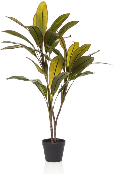 Kunstplant Cordyline – Levensecht & Onderhoudsvrij – Voor Thuis & Kantoor