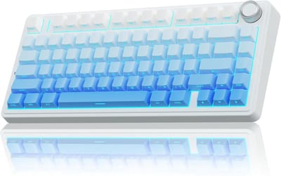 EPOMAKER x AULA F75 - Blauw - Side Printed - Mechanisch Draadloos Toetsenbord - RGB - 75% - QWERTY - Gaming Keyboard - Reaper Switch