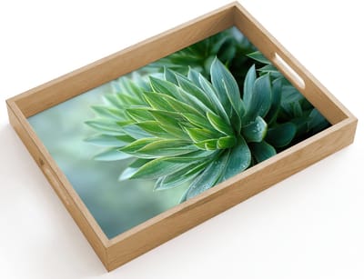 Dienblad hout 40x30 cm - Schootdienblad - Blad - Plant - Groen - Textuur - Borrelplank rechthoek - Plateau dienbladen