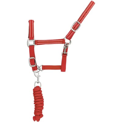 Reflecterende nylon halster en longe voor paarden Supreme