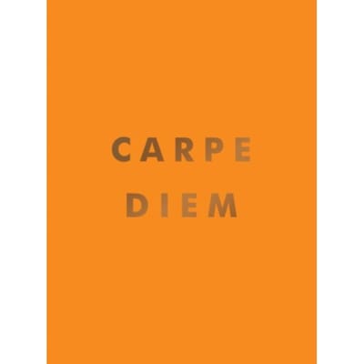 Carpe Diem - Summersdale Publishers