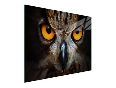 TMK ArtDeko Sowa Serie - Glazen Snijplank - 52x30 cm - UV-Print - Antislip