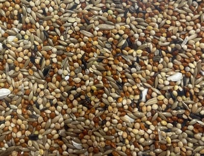 Twa Twa voer van Slaats – gezond & uitgebalanceerd - Twa Twa mengeling 2,5 kilo - Himbergen - Vogelvoer - Vogelzaad