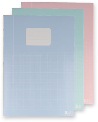 DULA Schriften A4 Ruit 10mm Kantlijn Pastel 5 stuks - Schoolschrift