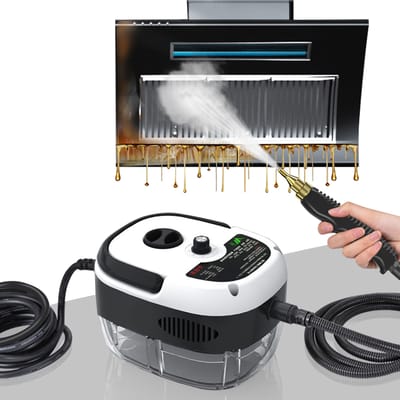 Handstoomreiniger, multifunctionele stoomreiniger van 2500 watt, stoomreiniger van 1000 ml, inclusief 3 mondstukken, 6 instelbare snelheidsset