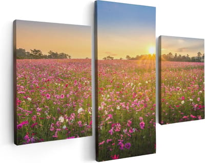 Artaza Canvas Schilderij Drieluik Bloemenveld Met Roze Kosmos  - 90x60 - Foto Op Canvas - Canvas Print