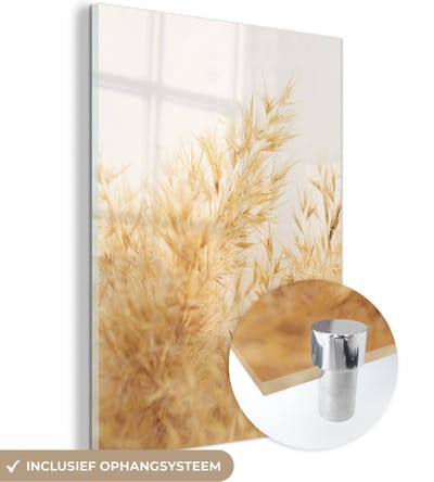 MuchoWow® Glasschilderij 30x40 cm - Schilderij acrylglas - Pampasgras - Zon - Gras - Foto op glas - Schilderijen
