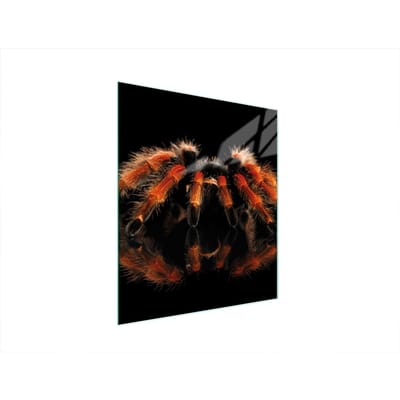 TMK ArtDeko - Snijplank - 45x52 cm - Veilig - Multifunctioneel