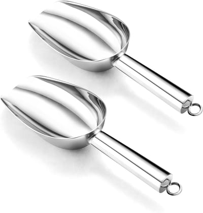 RVS IJslepel Set van 2 - Perfect voor IJs, Sorbet en Desserts - Duurzaam en Ergonomisch Ontwerp