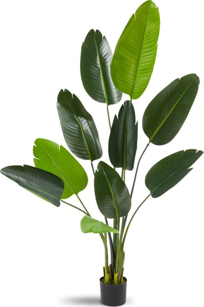 tectake® Kunstmatige Paradijsvogelboom Tropic - Strelitzia - Natuurgetrouwe Kunstplant met Gedetailleerde Bladeren en Stevige Bloempot – Onderhoudsvriendelijk en Veelzijdig - Hoogte: 160 cm