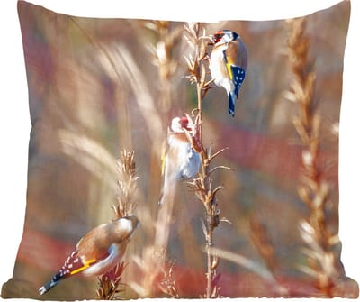 Sierkussens - Kussentjes Woonkamer - 60x60 cm - Vogels - Takken - Bos