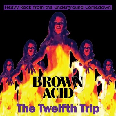 Various Artists - Brown Acid: The Twelfth Trip (CD)