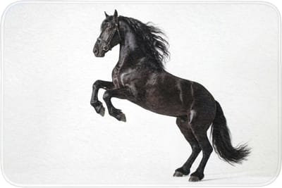 WC mat 90x60 cm - Antislip - Zwart - Paard - Portret - Toiletmat - Vloermat - Douchemat - Toilet tapijt - Toiletmatten
