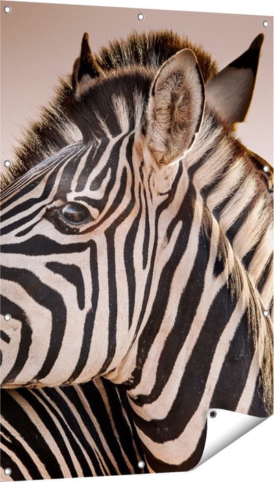 Gards Tuinposter Twee Knuffelende Zebra's - 80x120 cm - Tuindoek - Tuindecoratie - Wanddecoratie buiten - Tuinschilderij